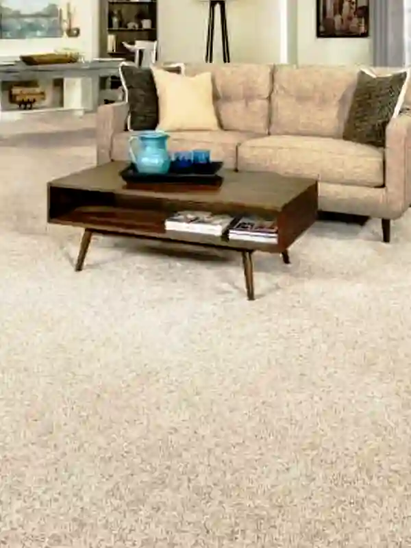 what is carpet area of a building