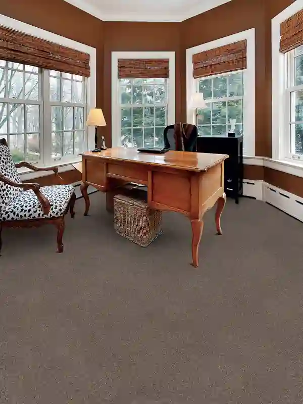 what is rera carpet area